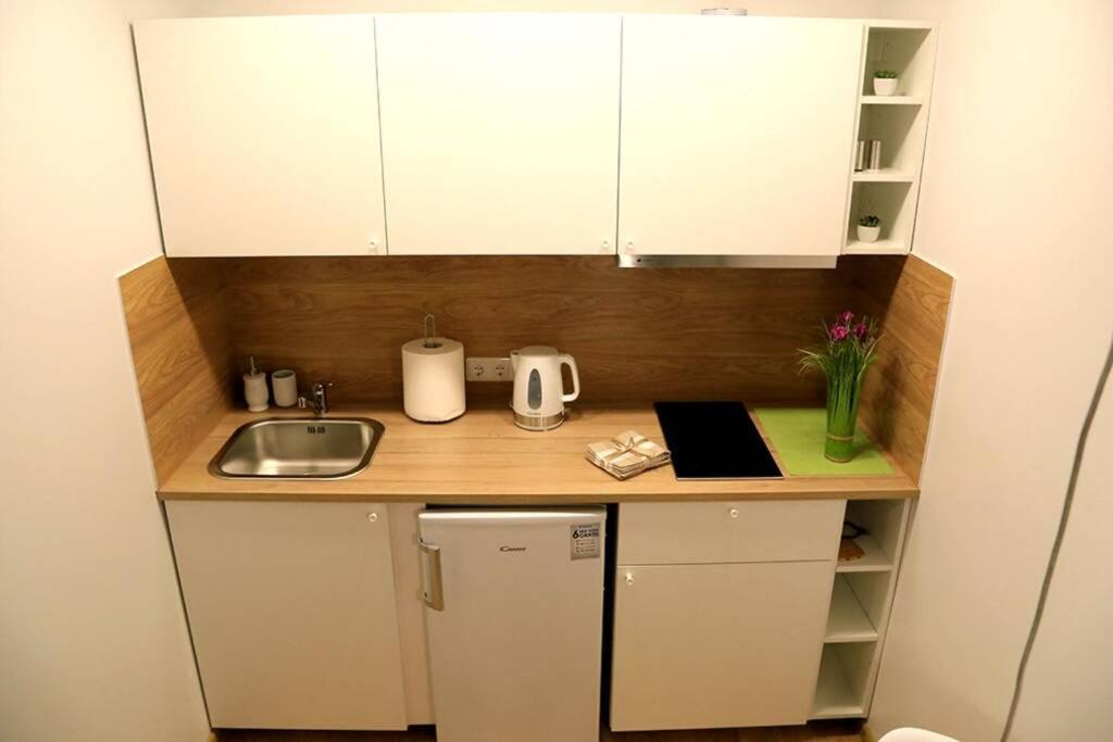 Bright Apartment,For 1-4,Near Old Town Vilnius Exterior foto